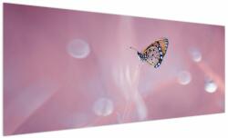 Mivali Tablou - Fluture, dintr-o bucată 250x125 cm (V023912V250125)