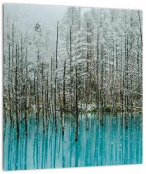 Mivali Tablou - Pescărie turcoaz, Biei, Japonia, dintr-o bucată 30x30 cm (V023163V3030)