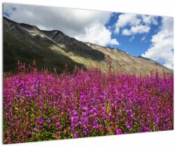 Mivali Tablou sceneriei cu lunca montană, dintr-o bucată 90x60 cm (V021604V9060)