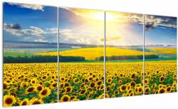 Mivali Tablou - Câmp cu floarea soarelui, din patru bucăți 160x80 cm (V022514V16080)