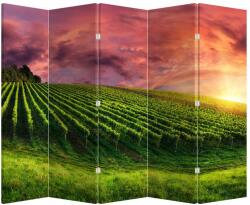 Mivali Paravan - Vie cu cerul color, din 5 bucăți, 210x170 cm (P020336P225180)
