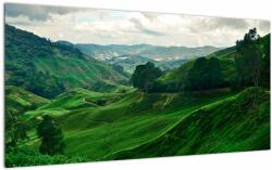 Mivali Tablou pe sticlă Plantații de ceai - Malaezia, dintr-o bucată 100x50 cm pe sticlă (V022493V10050GD)