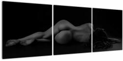 Mivali Tablou - Femeia întinsă nud, din trei bucăți 120x40 cm (V022896V12040)