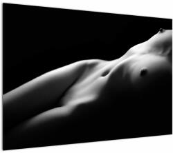 Mivali Tablou - Nud feminin, alb - negru, dintr-o bucată 100x70 cm (V023378V10070)