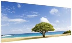 Mivali Tablou plaja cu copac, dintr-o bucată 250x125 cm (V020200V250125)