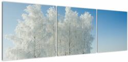 Mivali Tablou - Peisaj înzăpezit, din trei bucăți 150x50 cm (V022320V15050)