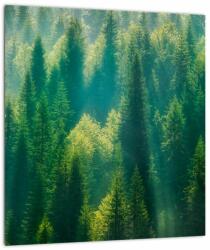 Mivali Tablou - Pădurea de brazi, dintr-o bucată 30x30 cm (V023338V3030)