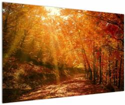 Mivali Tablou cu pădurea în toamnă, dintr-o bucată 120x80 cm (V021203V12080)
