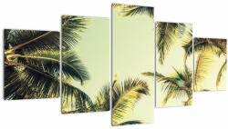 Mivali Tablou - Palmieri de cocos, din cinci bucăți 150x80 cm (V023328V150805PCS)