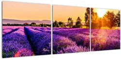 Mivali Tablou cu câmp de lavandă, din trei bucăți 120x40 cm (V020875V12040)