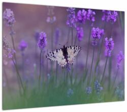 Mivali Tablou - fluture în lavandă, dintr-o bucată 70x50 cm (V021452V7050)