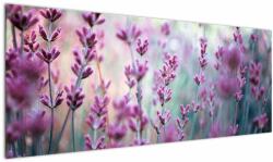 Mivali Tablou - Lavandă, dintr-o bucată 145x58 cm (V022328V14558)