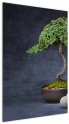 Mivali Tablou - Bonsai, dintr-o bucată 60x90 cm (V022509V6090)