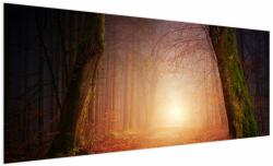 Mivali Tablou cu pădurea toamna în ceață, dintr-o bucată 250x125 cm (V020013V250125)