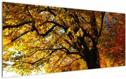 Mivali Tablou cu copac toamna, dintr-o bucată 120x50 cm (V020838V12050)