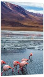 Mivali Tablou - Flamingo, dintr-o bucată 20x30 cm (V023797V2030)