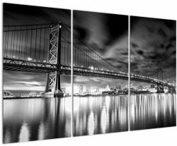 Mivali Tablou - Podul Benjamin Franklin, Philadelphia, alb-negru, din trei bucăți 120x80 cm (V023188V120803PCS)