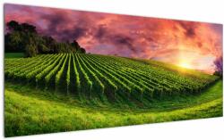 Mivali Tablou cu vie cu cerul color, dintr-o bucată 120x50 cm (V020336V12050)
