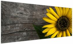 Mivali Tablou - Floare de floarea soarelui, dintr-o bucată 250x125 cm (V022113V250125)