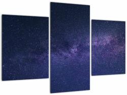 Mivali Tablou cerului nocturn, din trei bucăți 90x60 cm (V020614V90603PCS)