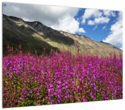 Mivali Tablou sceneriei cu lunca montană, dintr-o bucată 70x50 cm (V021604V7050)