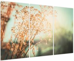Mivali Tablou - Plante de luncă, din trei bucăți 120x80 cm (V023850V120803PCS)