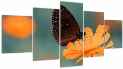 Mivali Tablou - fluture pe o floare portocalie, din cinci bucăți 150x80 cm (V020577V150805PCS)