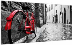 Mivali Tablou pe sticlă - Bicicleta roșie pe o stradă pavată, dintr-o bucată 100x50 cm pe sticlă (V023213V10050GD)