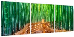 Mivali Tablou - Pădure de bambus japoneză, din trei bucăți 90x30 cm (V022360V9030)