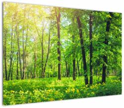 Mivali Tablou - Pădurea cu frunze de primăvară, dintr-o bucată 100x70 cm (V022101V10070)