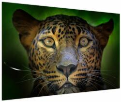 Mivali Tablou - Portretul leoparduslui, Sri Lanka (V021762V12080)