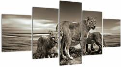 Mivali Tablou cu leii alb negri, din cinci bucăți 150x80 cm (V020475V150805PCS)