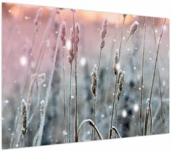 Mivali Tablou - Moment, dintr-o bucată 100x70 cm (V023902V10070)