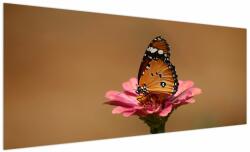 Mivali Tablou cu fluture pe floare, dintr-o bucată 250x125 cm (V020268V250125)