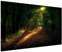 Mivali Tablou cu poteca prin pădure, dintr-o bucată 150x100 cm (V020253V150100)