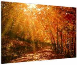 Mivali Tablou cu pădurea în toamnă, dintr-o bucată 90x60 cm (V021203V9060)