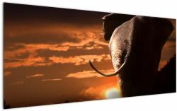Mivali Tablou cu elefant, dintr-o bucată 120x50 cm (V020517V12050)