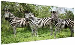 Mivali Tablou cu zebre, dintr-o bucată 250x125 cm (V020921V250125)
