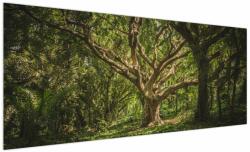 Mivali Tablou cu copaci, dintr-o bucată 250x125 cm (V021216V250125)