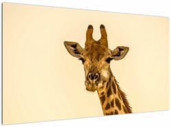 Mivali Tablou cu girafe, dintr-o bucată 120x70 cm (V020914V12070)