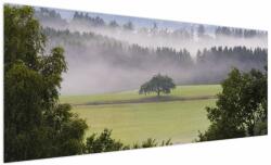 Mivali Tablou - Lunca cu copac, dintr-o bucată 250x125 cm (V022721V250125)