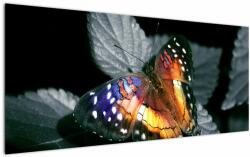 Mivali Tablou cu fluture, dintr-o bucată 120x50 cm (V022220V12050)
