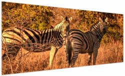 Mivali Tablou cu zebre, dintr-o bucată 250x125 cm (V021188V250125)