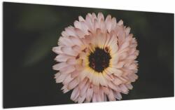 Mivali Tablou pe sticlă cu floare portocalie, dintr-o bucată 100x50 cm pe sticlă (V020428V10050GD)
