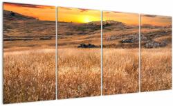 Mivali Tablou cu câmp, din patru bucăți 160x80 cm (V020837V16080)