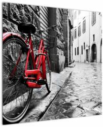 Mivali Tablou - Bicicleta roșie pe o stradă pavată, dintr-o bucată 70x70 cm (V023213V7070)