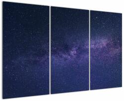 Mivali Taglou cu galaxie, din trei bucăți 120x80 cm (V020327V120803PCS)