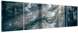 Mivali Tablou cu copaci și soarele translucind, din trei bucăți 170x50 cm (V021195V17050)