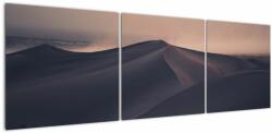Mivali Tablou - Valuri de nisip, din trei bucăți 150x50 cm (V021316V15050)