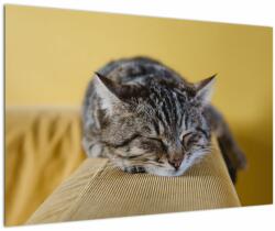 Mivali Tablou cu pisica pe fotoliu, dintr-o bucată 90x60 cm (V021340V9060)